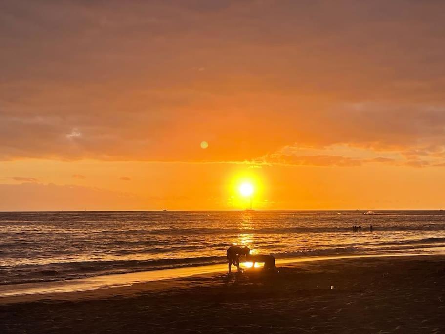 Costa Adeje, 2 Bedrooms Apartment 외부 사진